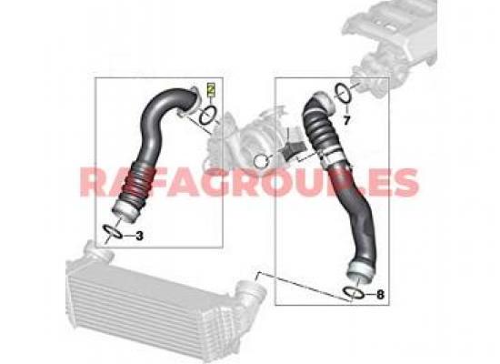 11617801222 - Junta anular, conducto aire admisión